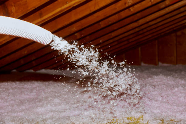 Reliable Cookeville, TN Insulation Installation & Removal Solutions